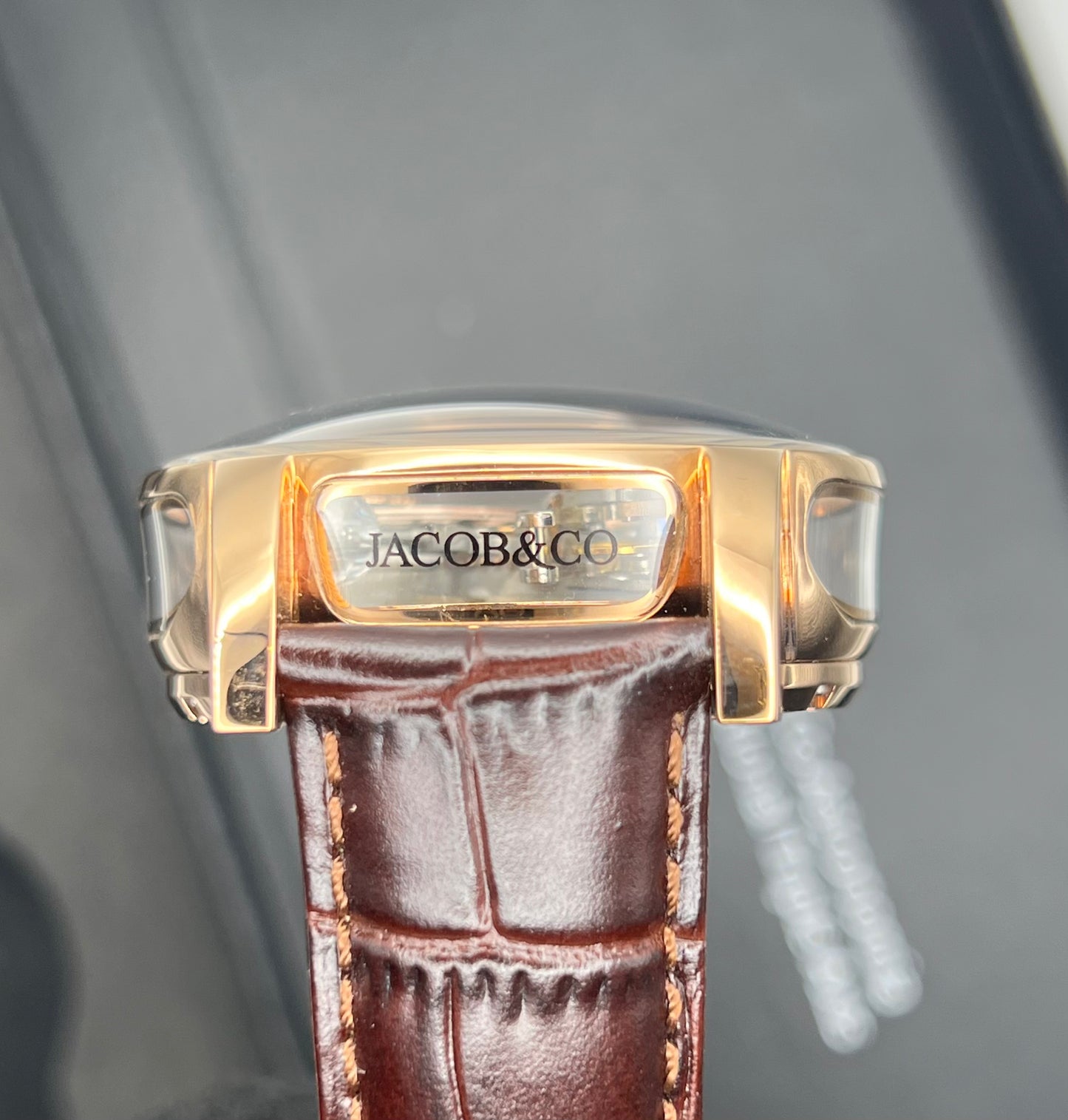 Jacob & Co. Astronomia Earth Automatic